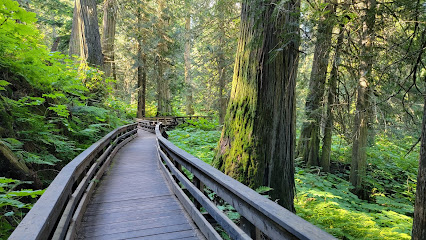 Ancient Forest/Chun T'oh Whudujut Provincial Park