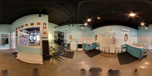 Pet Supply Store «Paisley Paw», reviews and photos, 155 E Broad St, Spartanburg, SC 29306, USA