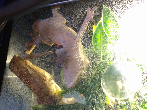 Pet Store «All About Pets LLC», reviews and photos, 52567 Columbia River Hwy, Scappoose, OR 97056, USA