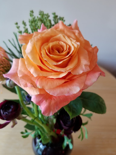 Florist «Green Cottage», reviews and photos, 1204 NY-213, High Falls, NY 12440, USA