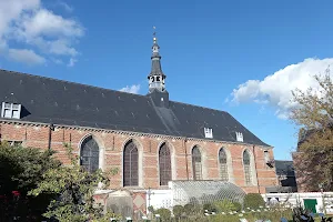 Hospital Our Lady with the Rose image