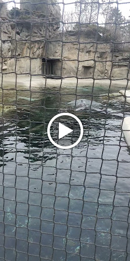 Thrift Store «St. Vincent de Paul Orland Park Thrift Store», reviews and photos, 7010 W 159th St, Orland Park, IL 60462, USA