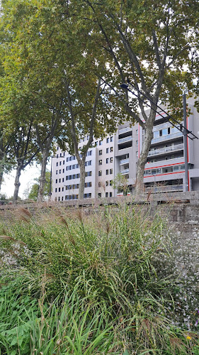 Le bidonville à Lyon
