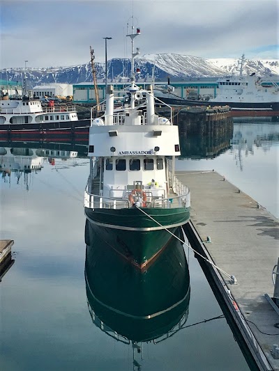 Photos of Ambassador Reykjav&iacute;k Whale Watching