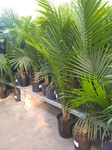 Home Improvement Store «The Home Depot», reviews and photos, 3500 W MacArthur Blvd, Santa Ana, CA 92704, USA