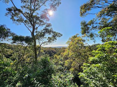 New Lambton Heights Lookout