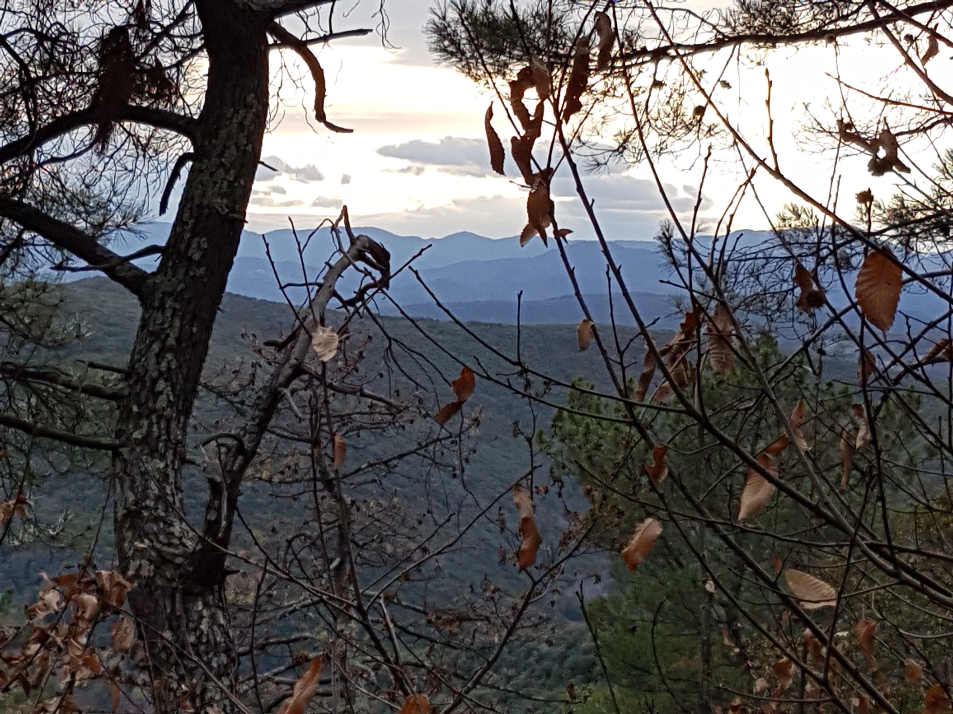 Photo n° 9 de l'avis de xavier.O fait le 03/02/2018 à 17:14