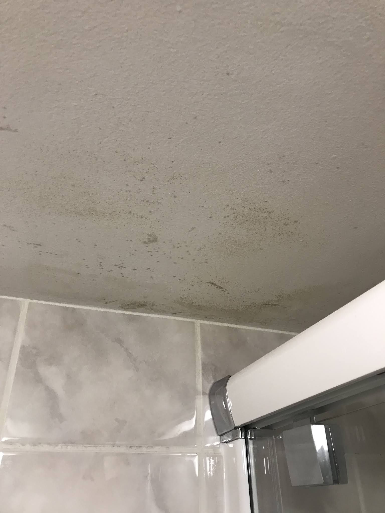 Photo n° 9 de l'avis de François. fait le 01/07/2019 à 16:21