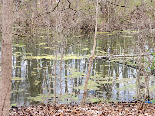 Nature Preserve «Rangeline Nature Preserve», reviews and photos, 1200 S Rangeline Rd, Anderson, IN 46012, USA