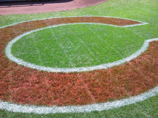 Stadium «Great American Ball Park», reviews and photos, 100 Joe Nuxhall Way, Cincinnati, OH 45202, USA