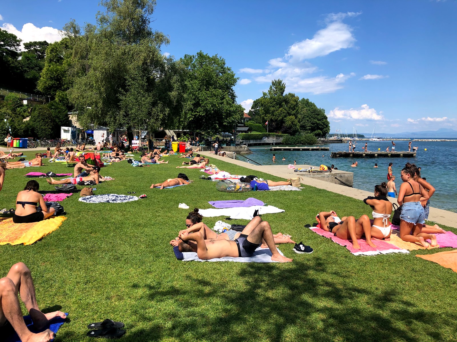Plage de Nyon photo #8