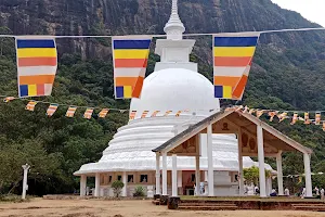 Happy Banana Homestay Kandy image