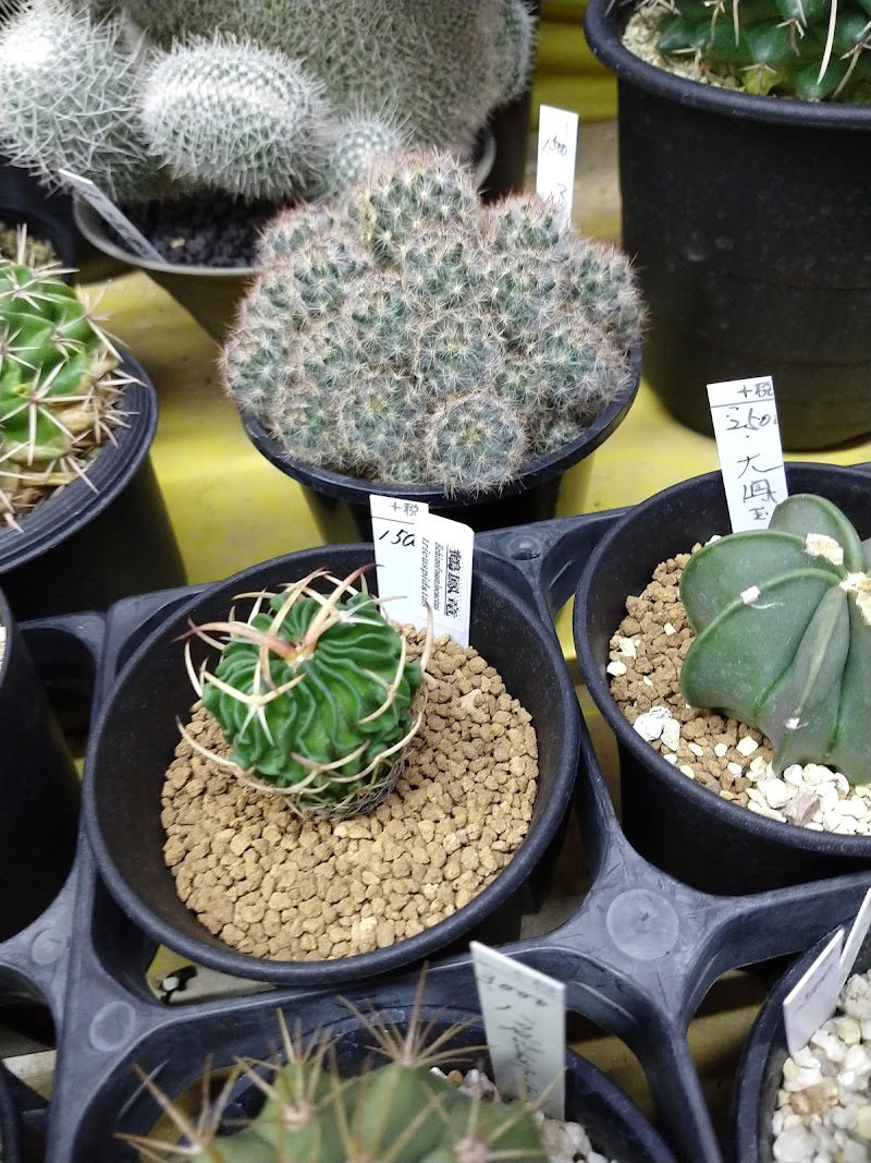 鶴仙園 西武池袋店 東京都豊島区南池袋 園芸業者 グルコミ