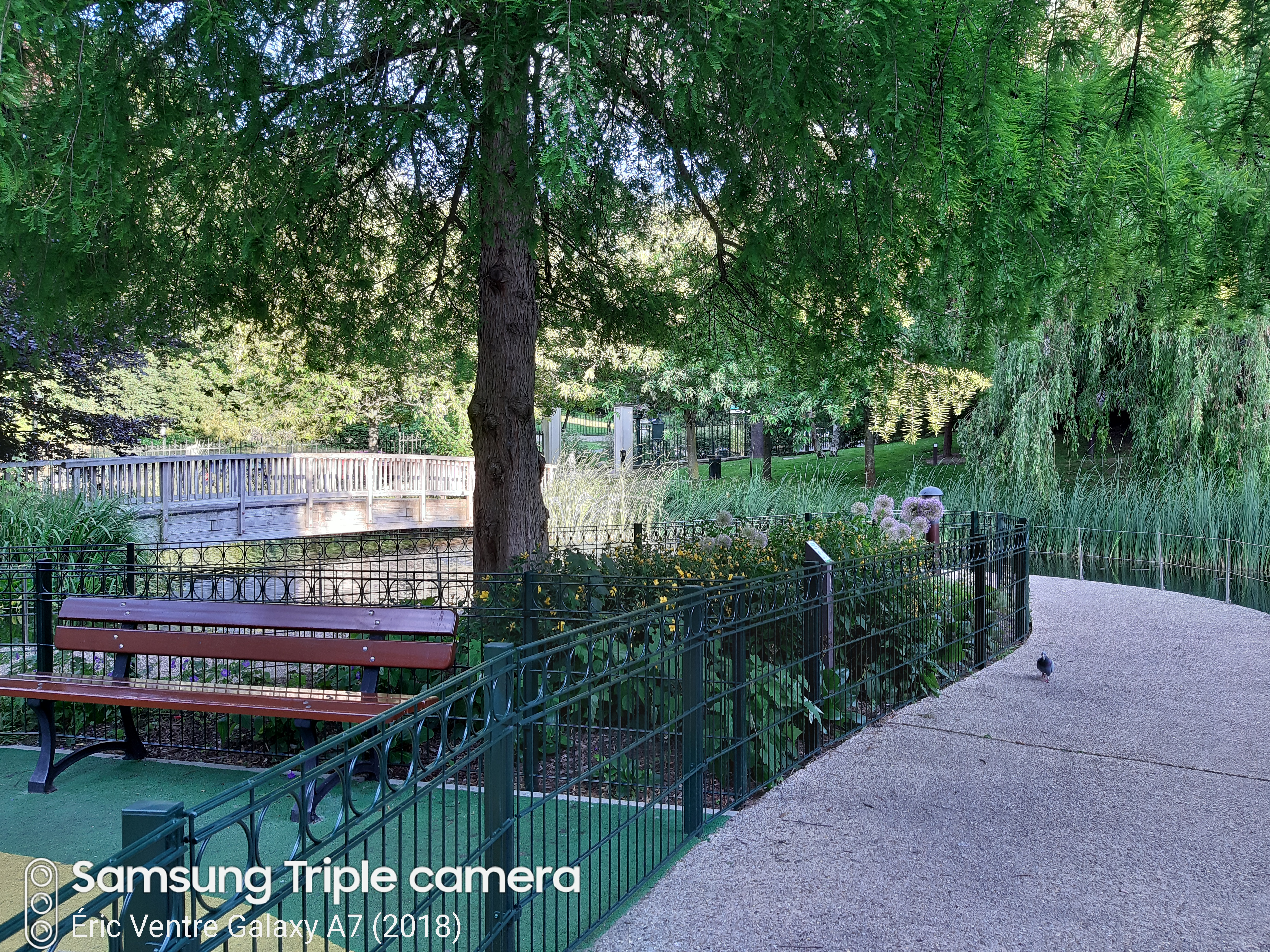 Photo n° 3 de l'avis de Eric.e fait le 16/06/2019 à 19:34