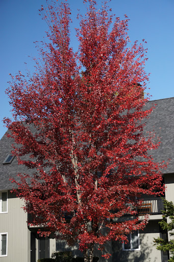 Waterville Valley Welcome Center
