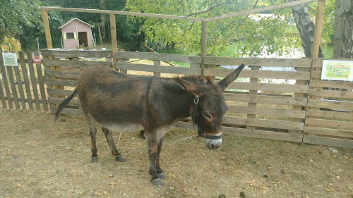 attractions Fermette des Tannières Herry