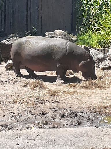 Zoo «Kansas Wildlife Exhibit», reviews and photos, 600-630 Nims N, Wichita, KS 67203, USA