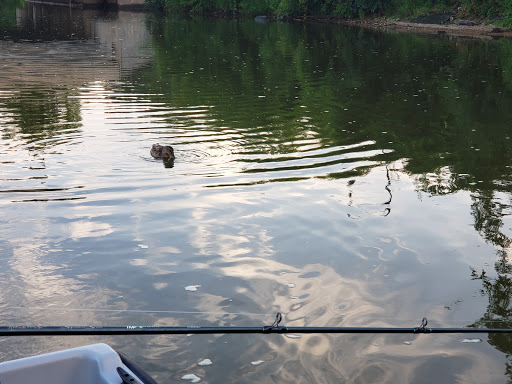 Park «RiverEdge Park», reviews and photos, 360 N Broadway, Aurora, IL 60505, USA