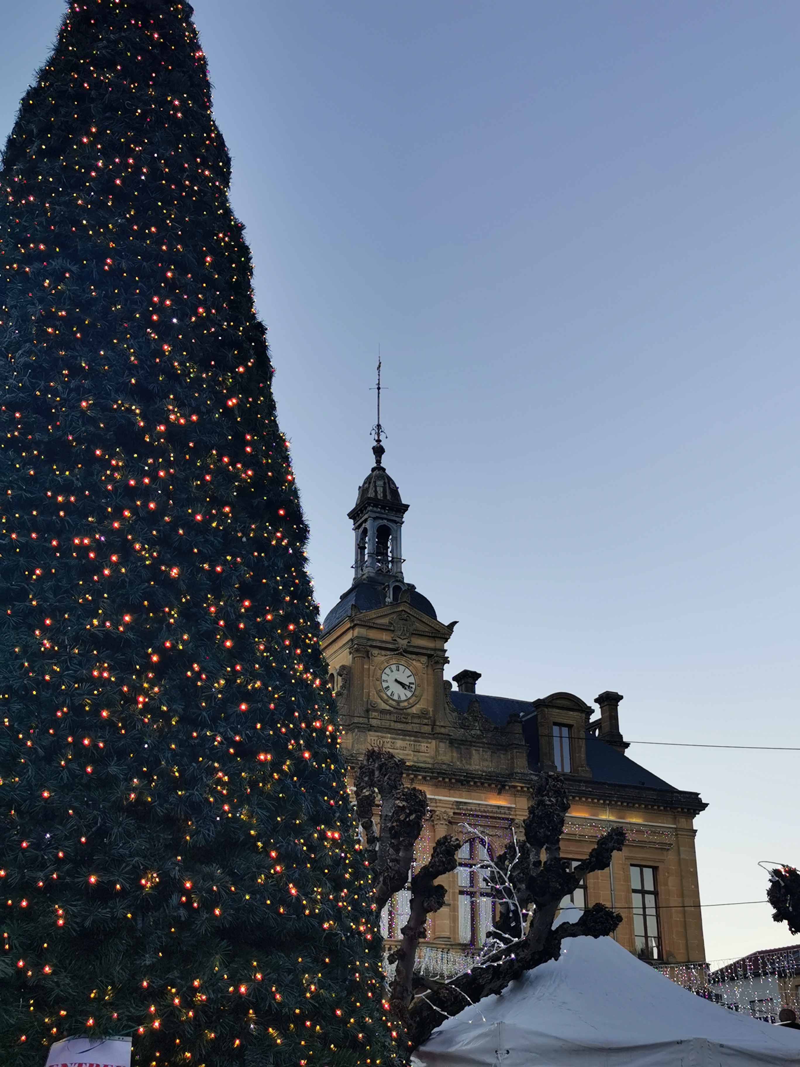 Photo n° 2 de l'avis de Phidis.a fait le 12/11/2019 à 12:55