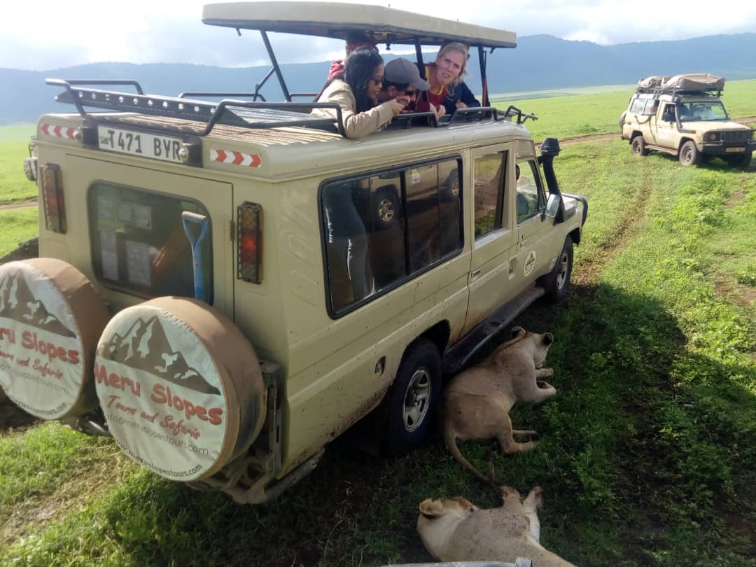 Meru Slopes Tours & Safaris