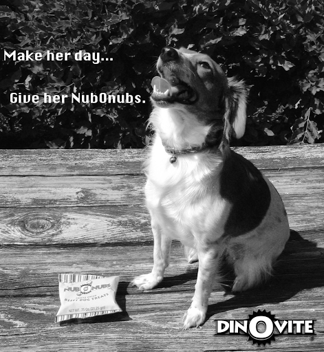 Pet Supply Store «Dinovite», reviews and photos, 101 Miller Dr, Crittenden, KY 41030, USA