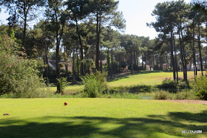 Clube de Golfe | Aroeira Pines Classic