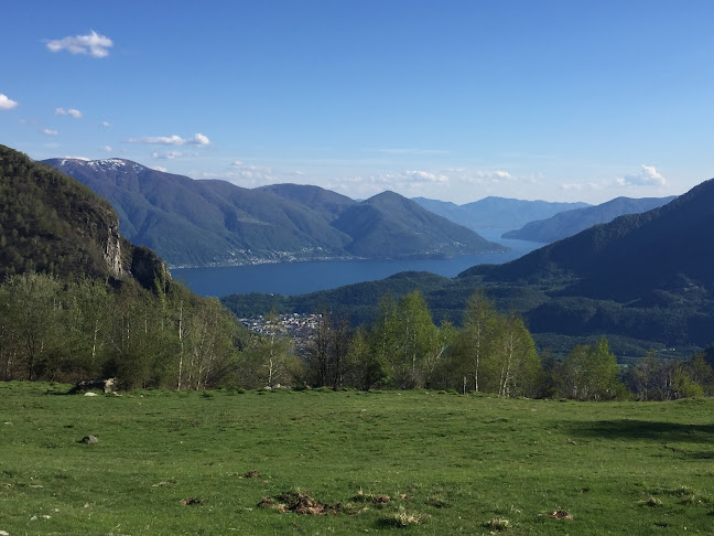 Rezensionen über Yak-Alp in Bellinzona - Nachtclub