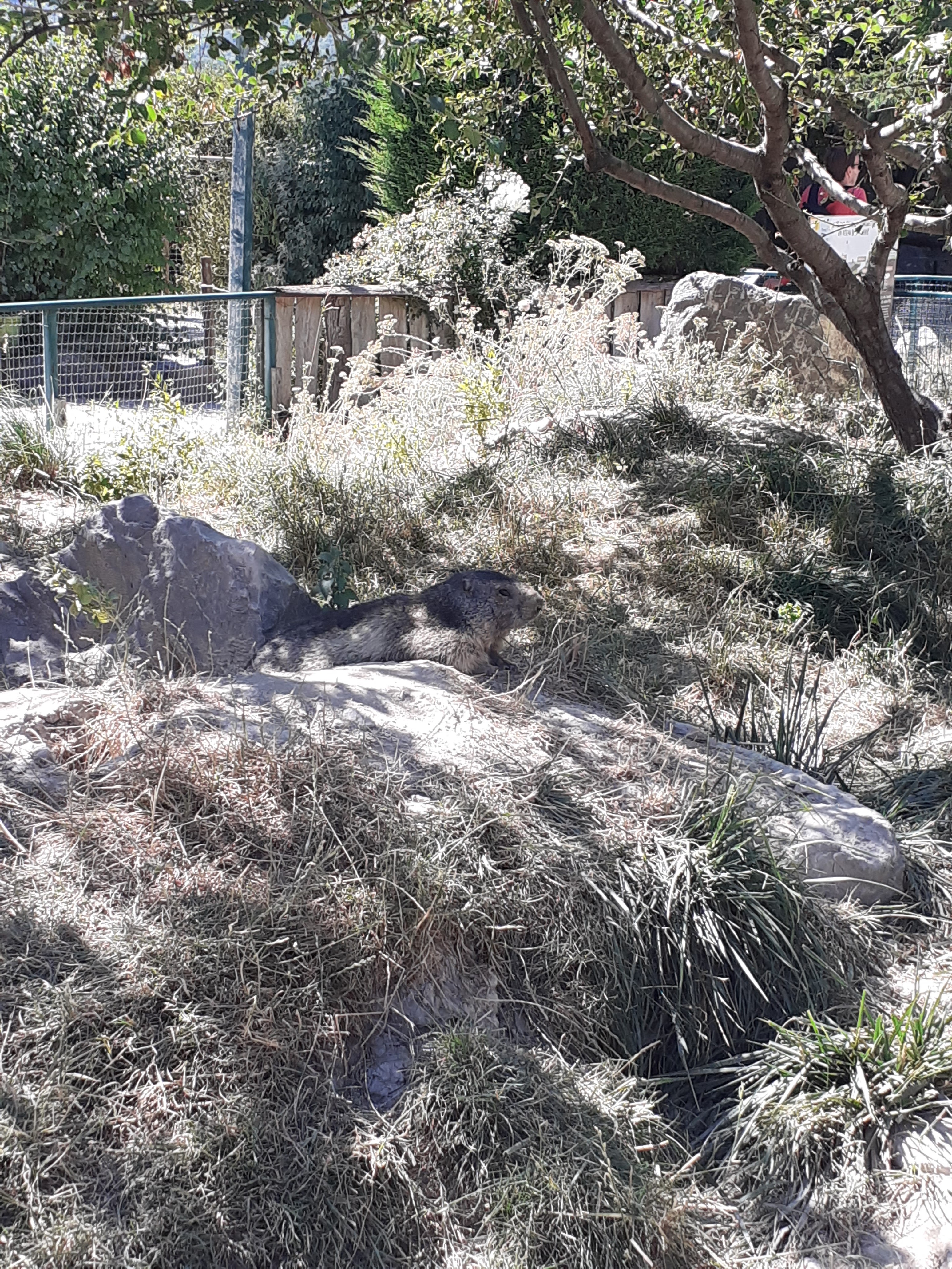 Photo n° 1 de l'avis de Jerome.e fait le 09/08/2023 à 10:32