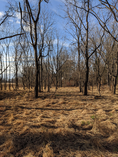 Nature Preserve «Big Brook Preserve», reviews and photos, 95 Hillsdale Rd, Colts Neck, NJ 07722, USA