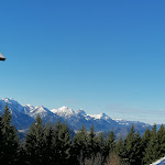 Photo n°2 de l'avis de Peter.c fait le 02/03/2024 à 17:49 sur le  Rohrkopfhütte - Die Berghütte in Schwangau à Schwangau