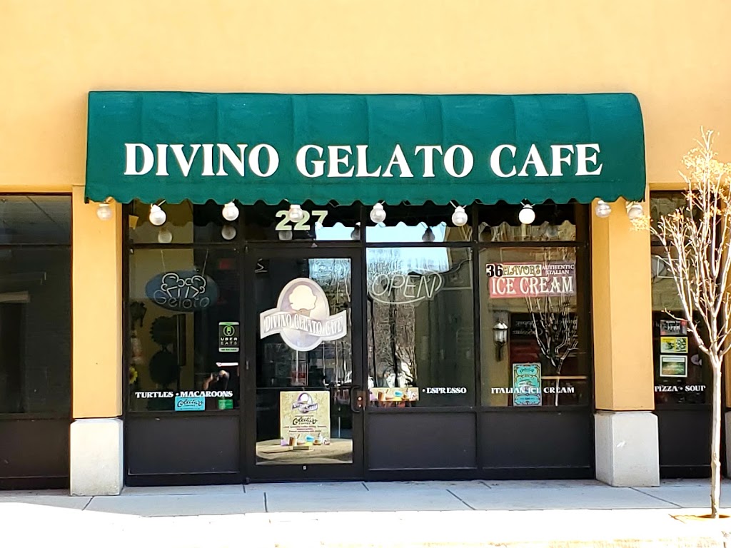 Divino Gelato Cafe 53186