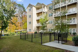 The Mansions at Sandy Springs Senior Independent Living image
