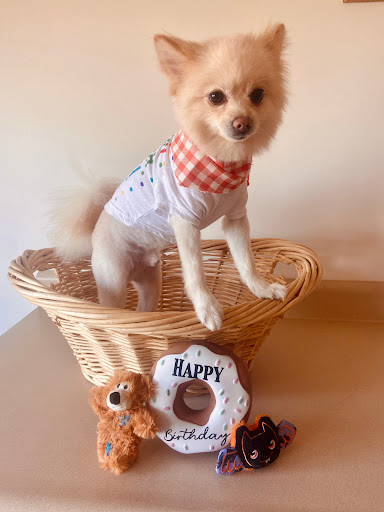 Pet Supply Store «Petco Animal Supplies», reviews and photos, 10 Sylvan St, Peabody, MA 01960, USA