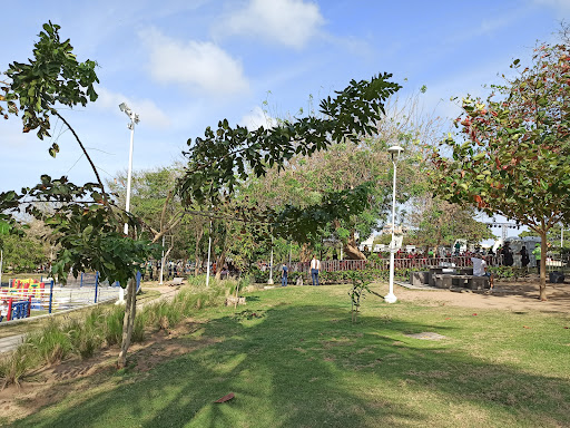 Parques para hacer picnic en Barranquilla