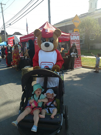 Auto Insurance Agency «Laura Whitney - State Farm Insurance Agent», reviews and photos