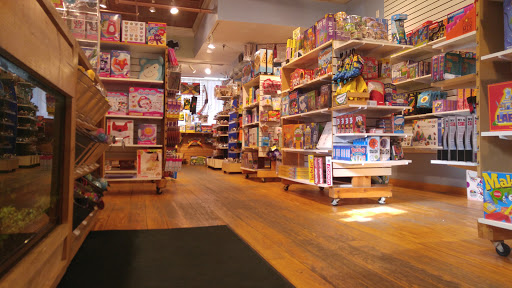 Toy Store «The TreeHouse Toy Store», reviews and photos, 793 Elmwood Ave, Buffalo, NY 14222, USA