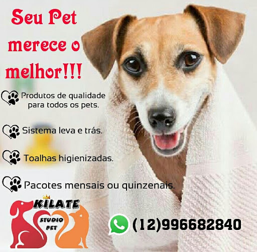 Logo da empresa - Kilate Studio Pet