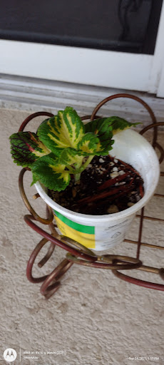 Hardware Store «Sunshine Ace Hardware Inc», reviews and photos, 141 Tamiami Trail, Naples, FL 34102, USA