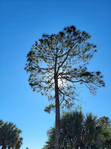 Nature Preserve «Manatee Viewing Center», reviews and photos, 6990 Dickman Rd, Apollo Beach, FL 33572, USA