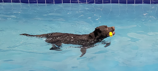 Pet Supply Store «Pet Depot Inc», reviews and photos, 2151 Greenspring Dr, Lutherville-Timonium, MD 21093, USA