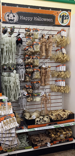 Dollar Store «Dollar Tree», reviews and photos, 2241 Citrus Blvd #107, Leesburg, FL 34748, USA