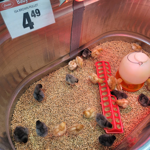 Department Store «Coastal Farm & Ranch», reviews and photos, 3865 OR-8, Cornelius, OR 97113, USA