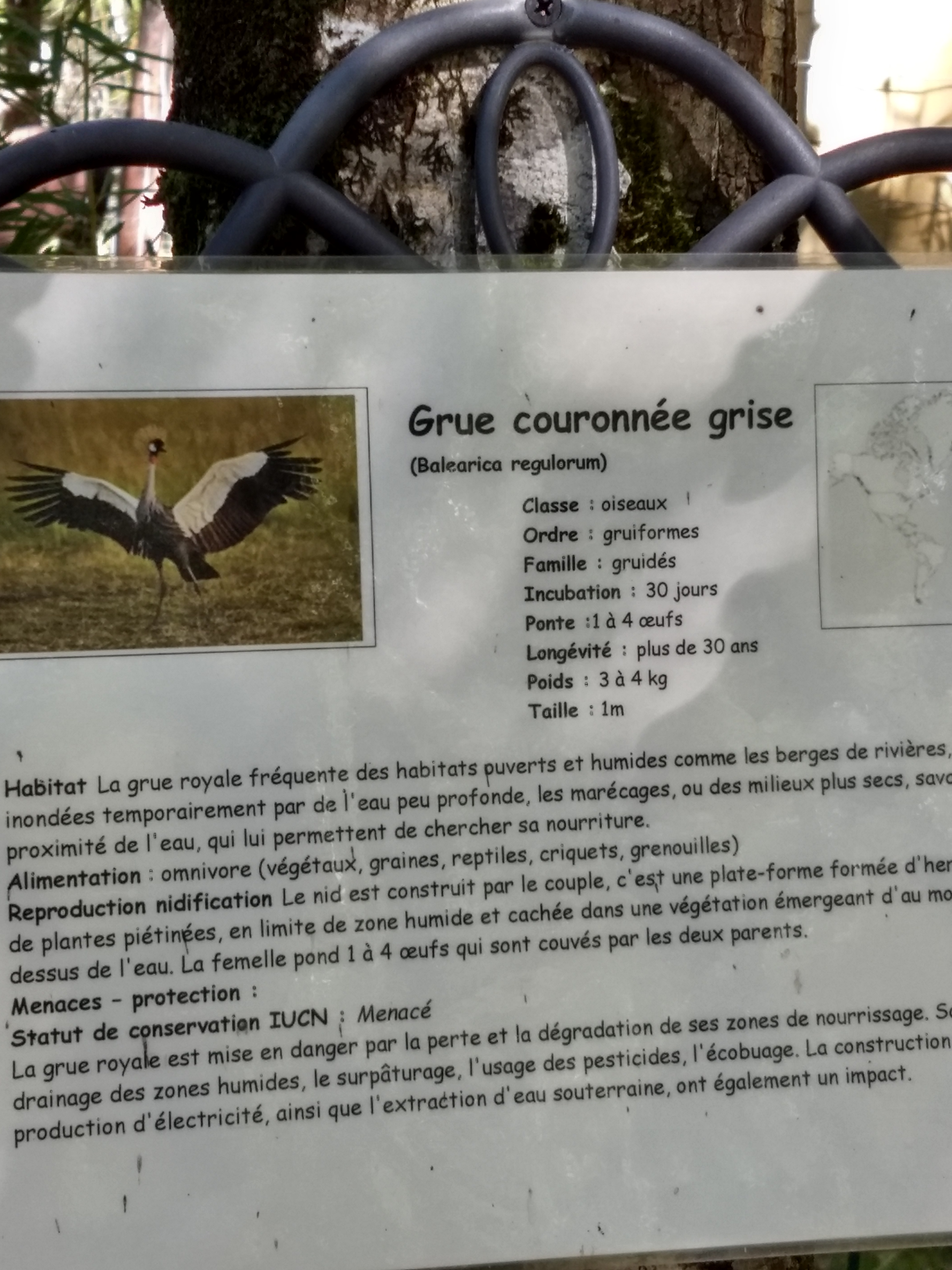 Photo n° 8 de l'avis de aurore. fait le 15/09/2018 à 17:03