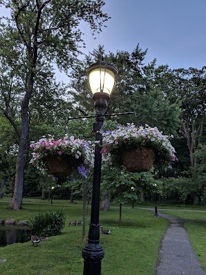 Tilley Pond Park - photo 42