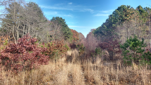 Nature Preserve «Julian L. Capik Nature Preserve», reviews and photos, Cheesequake Rd, Sayreville, NJ 08872, USA