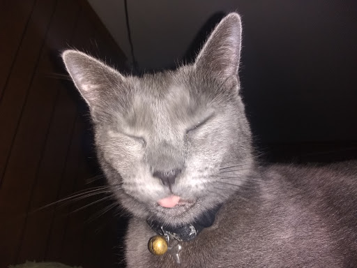 Movie Theater «Alamo Drafthouse Cinema», reviews and photos, 100 S Central Expy, Richardson, TX 75080, USA