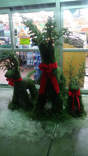 Mexican Grocery Store «Fiesta Market», reviews and photos, 939 E Irving Park Rd, Streamwood, IL 60107, USA