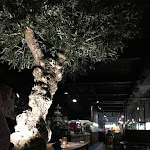 Photo n°1 de l'avis de Henrik.e fait le 23/02/2019 à 08:49 sur le  Ki-Nova à Berlin