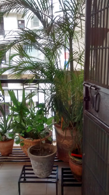 Google Maps image 25