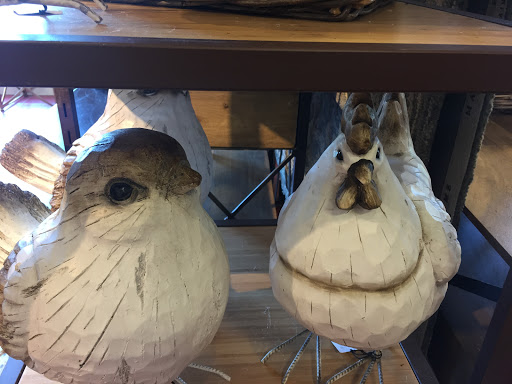 Home Goods Store «Pier 1 Imports», reviews and photos, 777 Connecticut Ave, Norwalk, CT 06854, USA